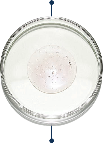 Yeast fermentation <br> product filtrate