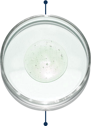 Yeast lysate<br>extract