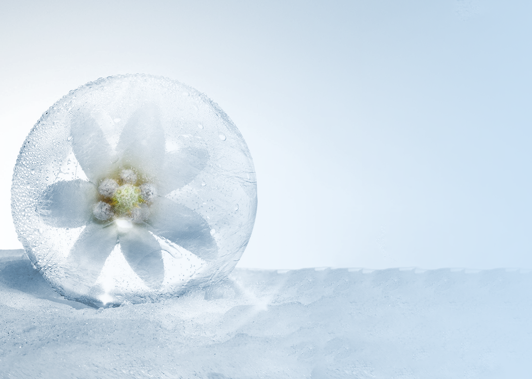 What is fresh and effective?